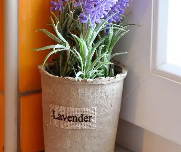 Appartamento Nefelis Koskinou (Rhodes)