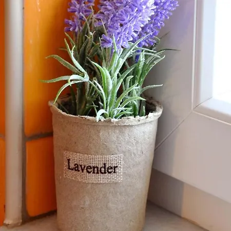 アパート Nefelis Koskinou